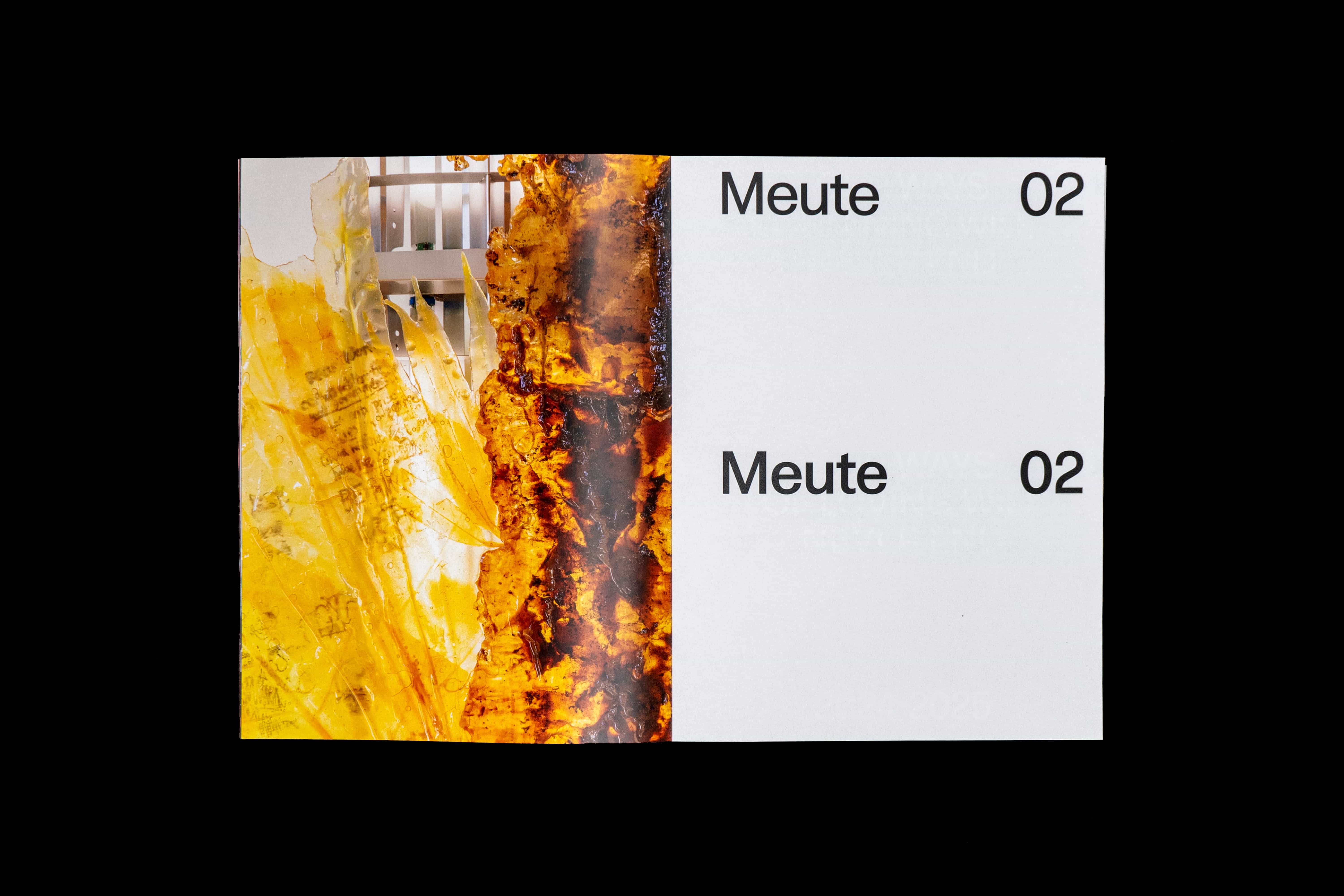 Meute 02